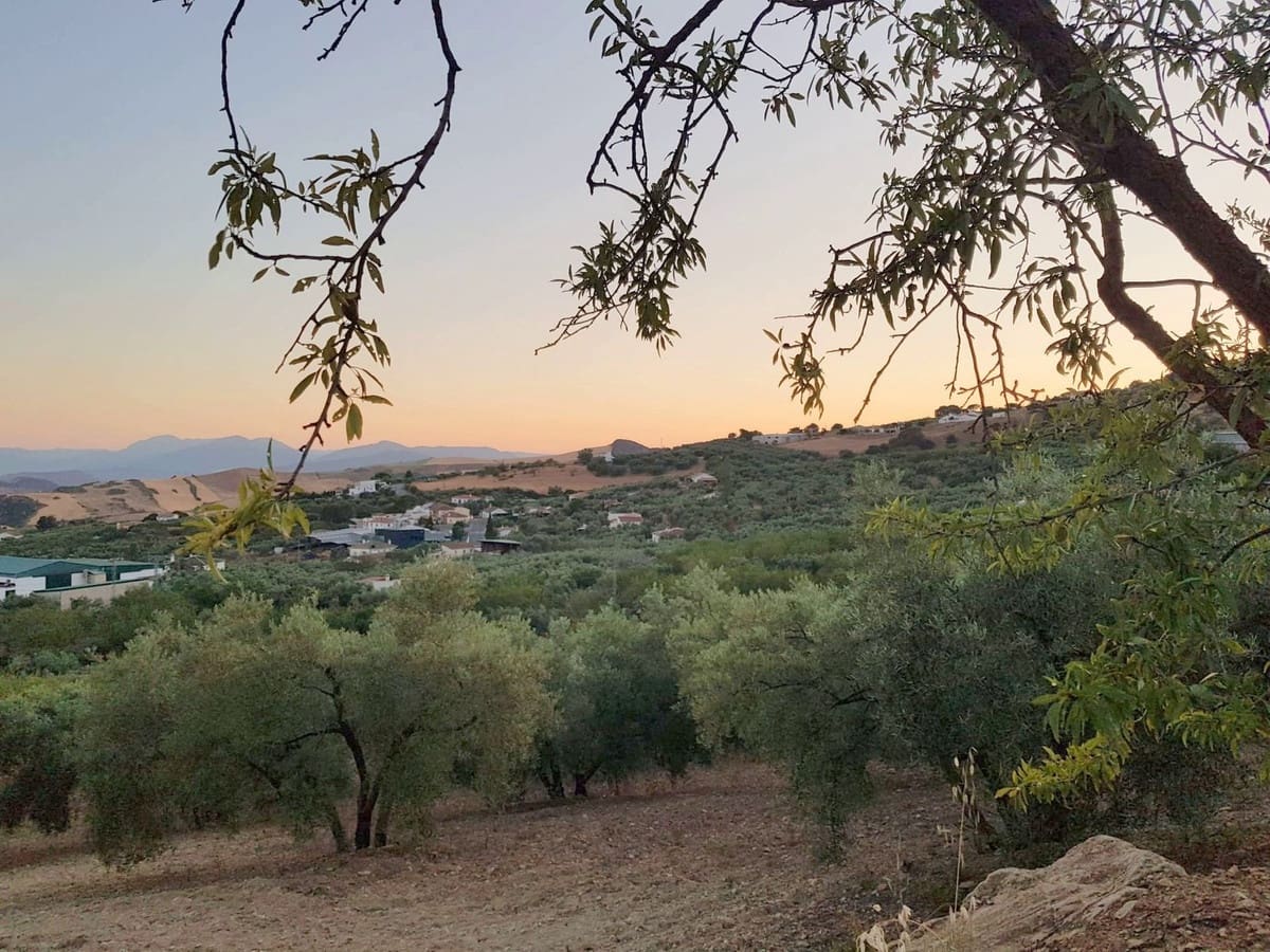 3 chambre Finca/Maison de Campagne à vendre à Villanueva de la Concepcion avec garage - 325 000 € (Ref: 8537538)