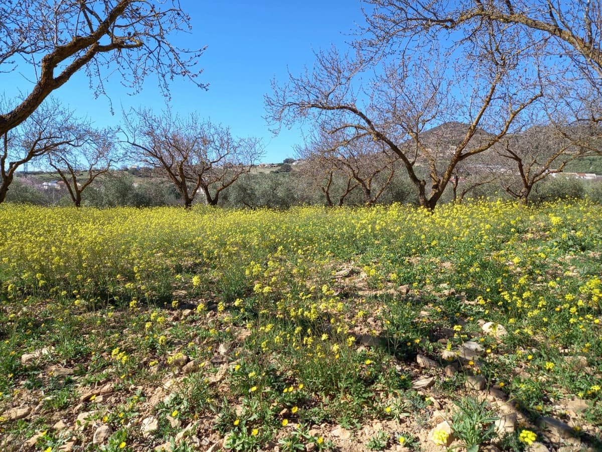 3 chambre Finca/Maison de Campagne à vendre à Villanueva de la Concepcion avec garage - 325 000 € (Ref: 8537538)