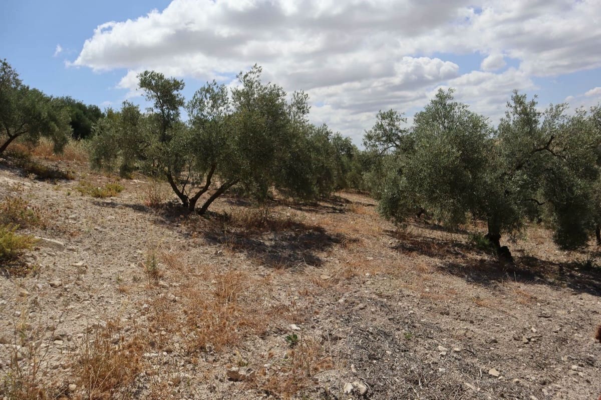 3 bedroom Finca/Country House for sale in Villanueva de la Concepcion with garage - € 325,000 (Ref: 8537538)