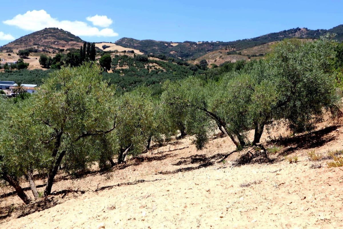 3 bedroom Finca/Country House for sale in Villanueva de la Concepcion with garage - € 325,000 (Ref: 8537538)