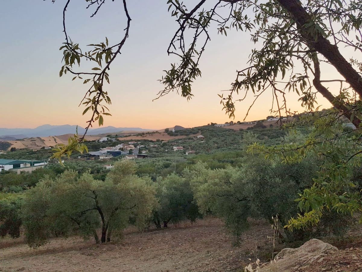 3 bedroom Finca/Country House for sale in Villanueva de la Concepcion with garage - € 325,000 (Ref: 8537538)