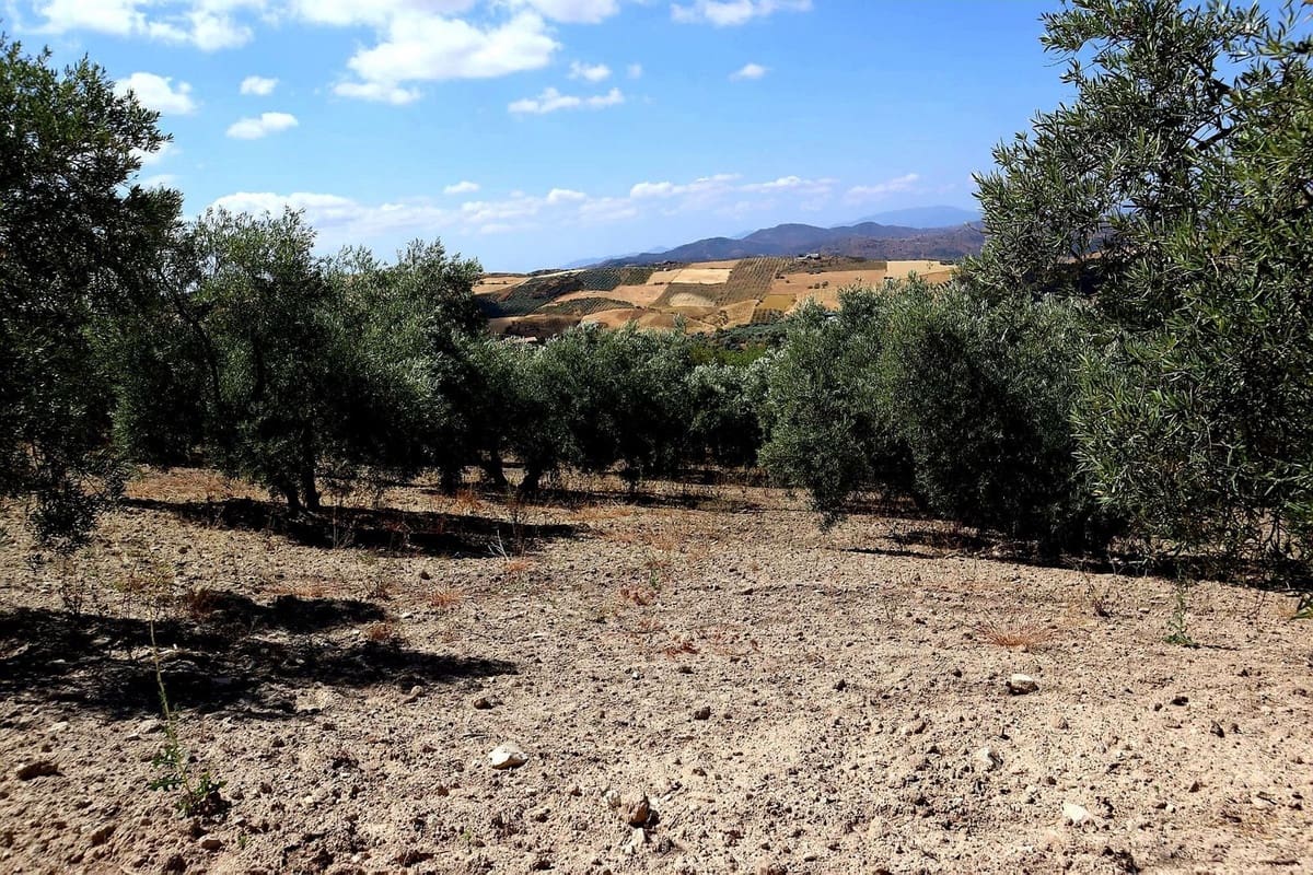 3 bedroom Finca/Country House for sale in Villanueva de la Concepcion with garage - € 325,000 (Ref: 8537538)