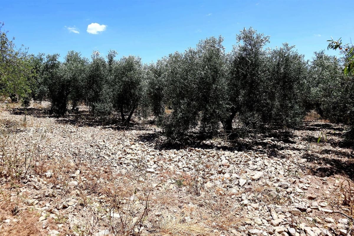 3 bedroom Finca/Country House for sale in Villanueva de la Concepcion with garage - € 325,000 (Ref: 8537538)