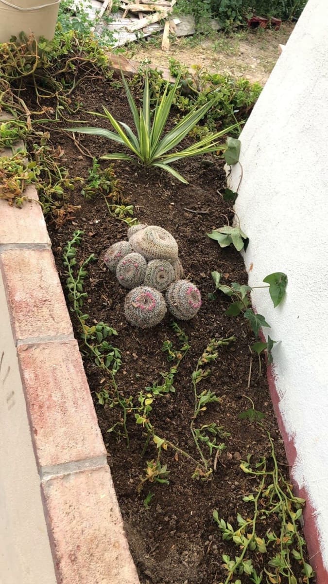 4 soverom Villa til salgs i Coin med svømmebasseng garasje - € 475 000 (Ref: 8583219)