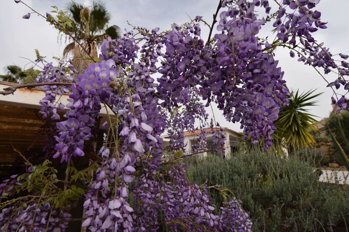 3 camera da letto Finca/Casa di Campagna in vendita in Villanueva de la Concepcion con piscina garage - 495.000 € (Rif: 8598574)