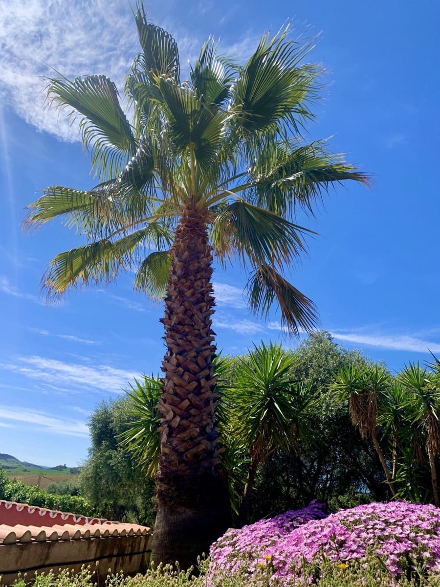 3 camera da letto Finca/Casa di Campagna in vendita in Villanueva de la Concepcion con piscina garage - 495.000 € (Rif: 8598574)