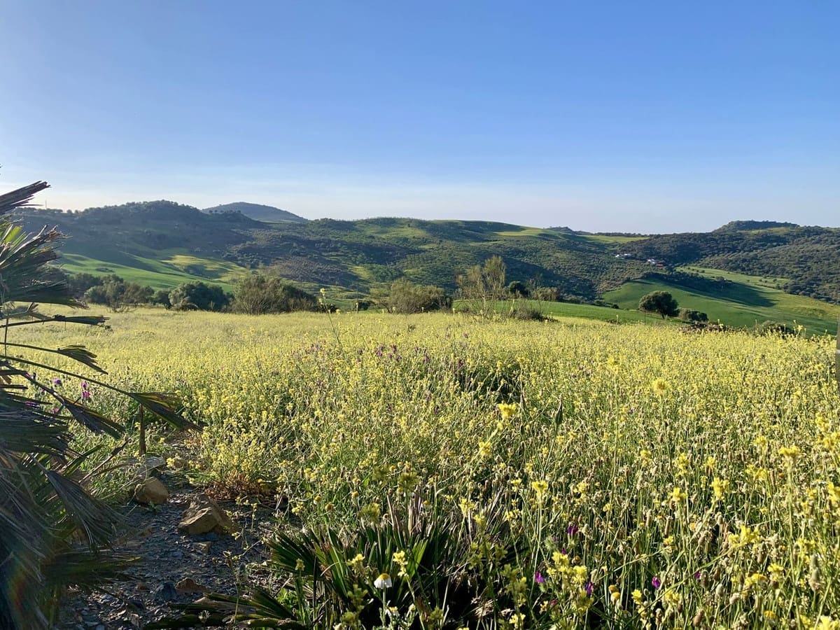 3 camera da letto Finca/Casa di Campagna in vendita in Villanueva de la Concepcion con piscina garage - 495.000 € (Rif: 8598574)