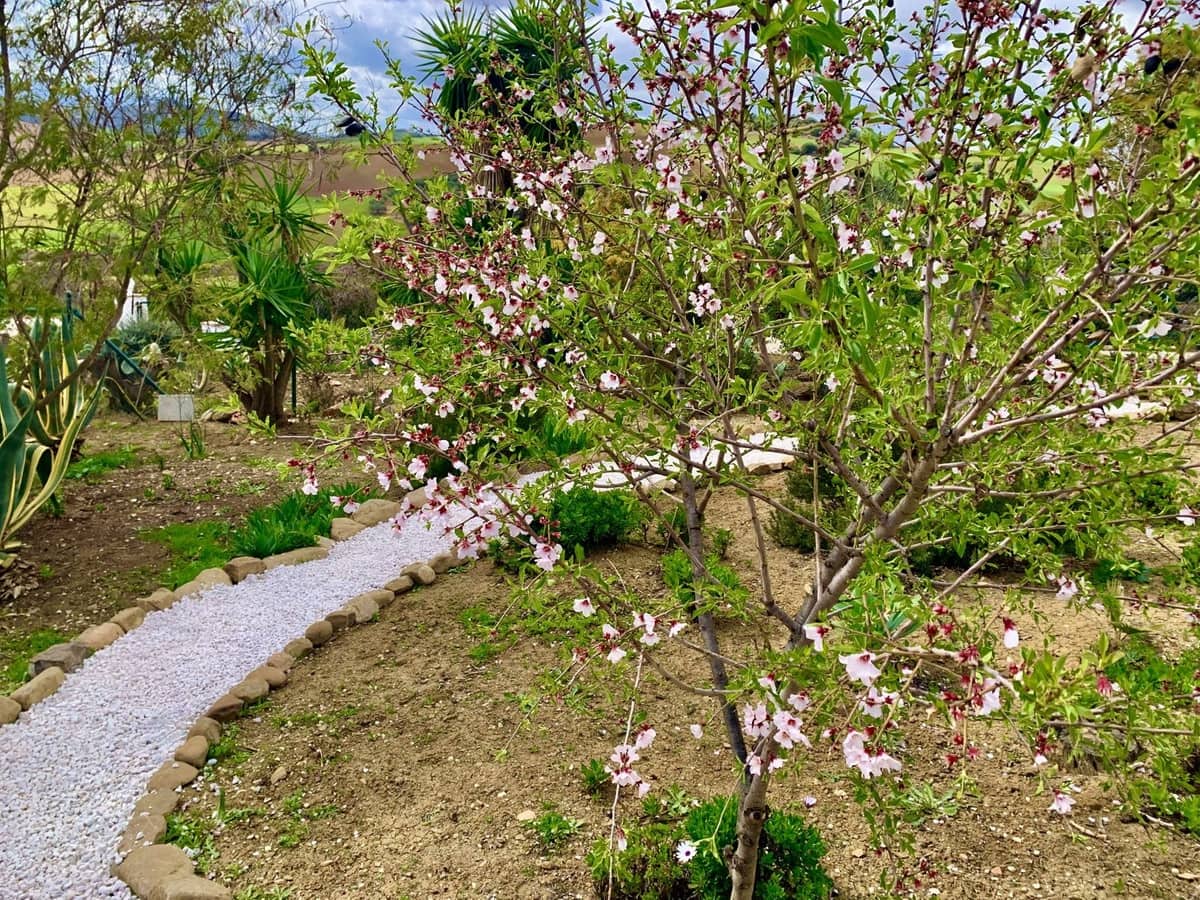 3 camera da letto Finca/Casa di Campagna in vendita in Villanueva de la Concepcion con piscina garage - 495.000 € (Rif: 8598574)