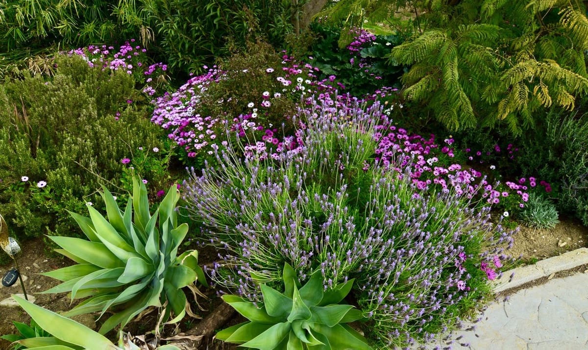 3 camera da letto Finca/Casa di Campagna in vendita in Villanueva de la Concepcion con piscina garage - 495.000 € (Rif: 8598574)