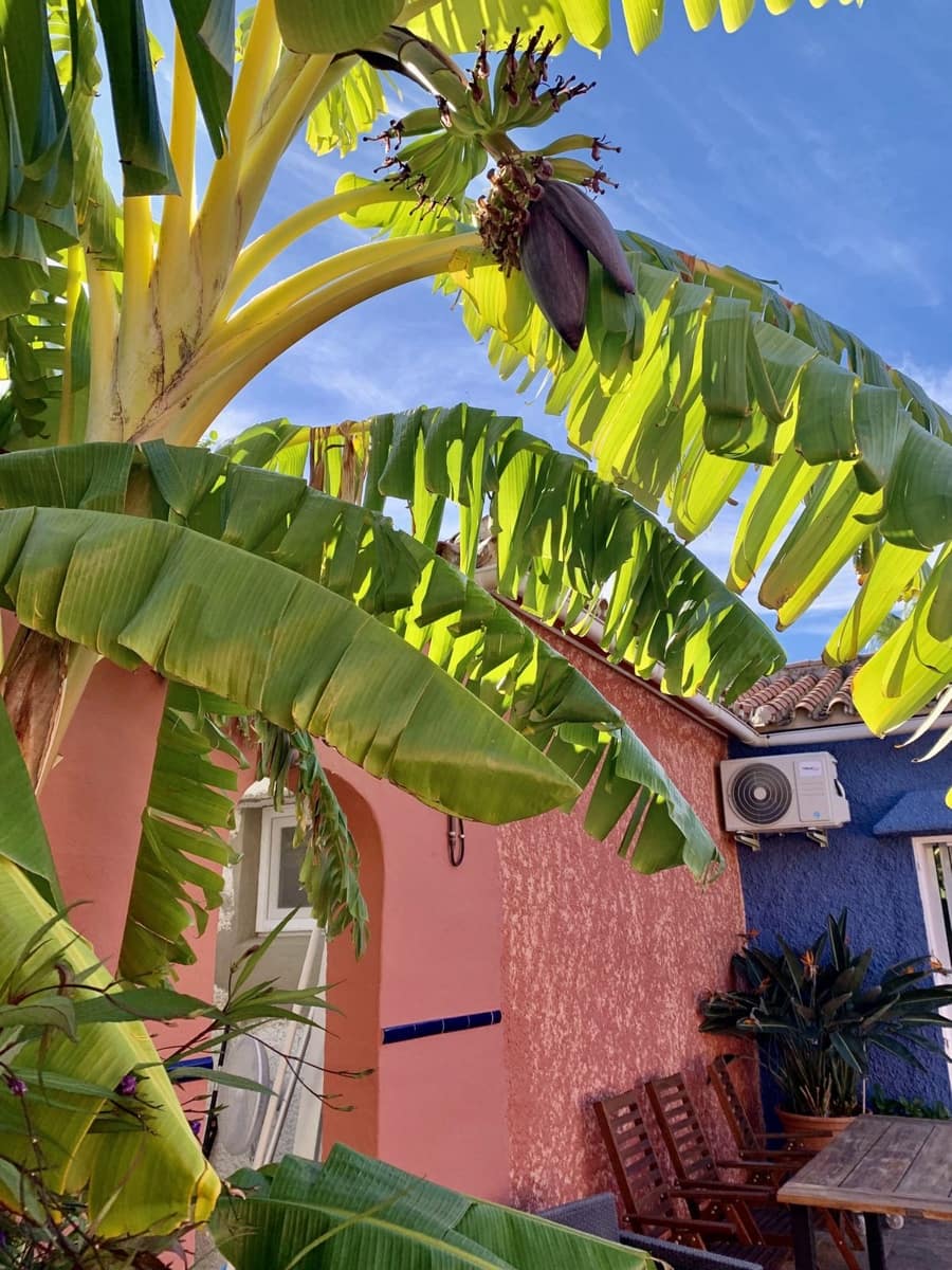 3 soverom Finca/Herregård til salgs i Villanueva de la Concepcion med svømmebasseng garasje - € 495 000 (Ref: 8598574)