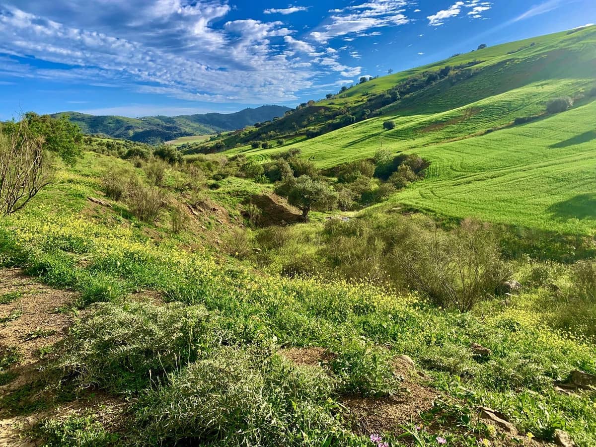 3 soverom Finca/Herregård til salgs i Villanueva de la Concepcion med svømmebasseng garasje - € 495 000 (Ref: 8598574)