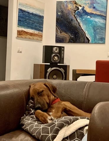 3 sypialnia Finka/Dom wiejski na sprzedaż w Villanueva de la Concepcion z basenem garażem - 495 000 € (Ref: 8598574)