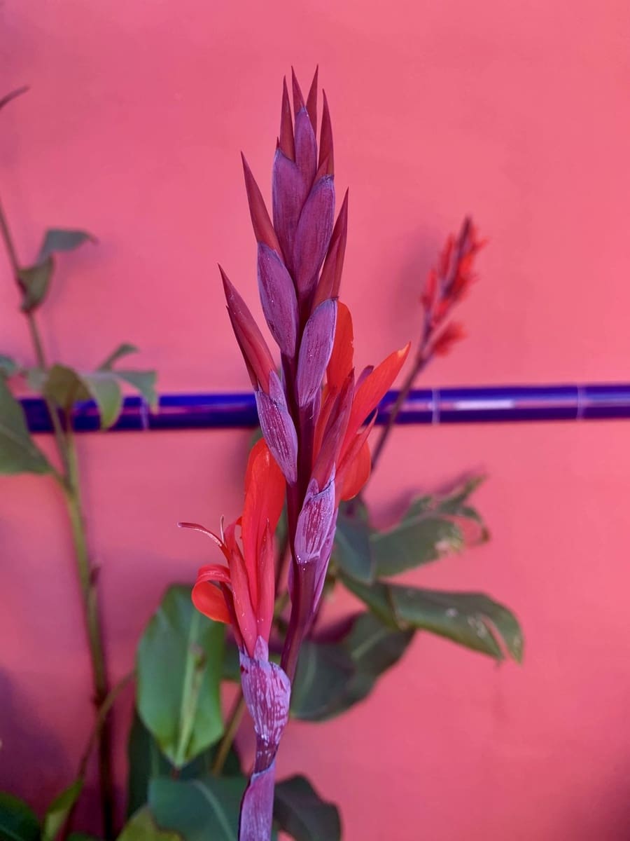 3 makuuhuone Maalaistalo myytävänä paikassa Villanueva de la Concepcion mukana uima-altaan 
autotalli - 495 000 € (Ref: 8598574)