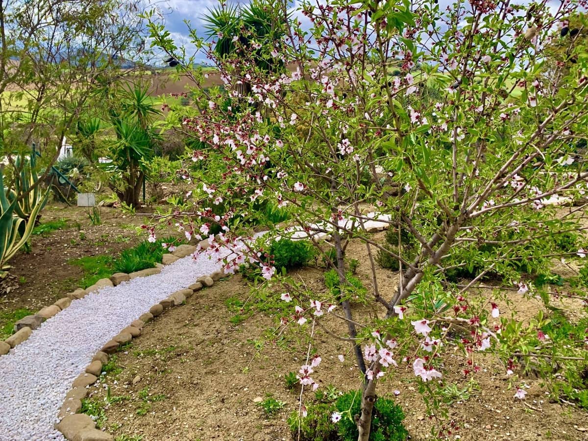 3 makuuhuone Maalaistalo myytävänä paikassa Villanueva de la Concepcion mukana uima-altaan 
autotalli - 495 000 € (Ref: 8598574)