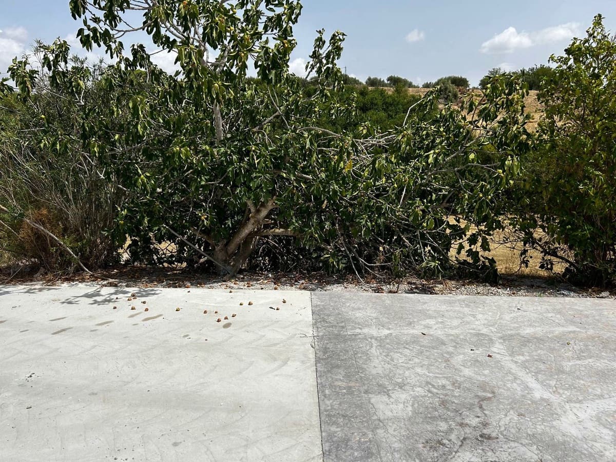 3 bedroom Finca/Country House for sale in Coin with pool garage - € 370,000 (Ref: 8613807)