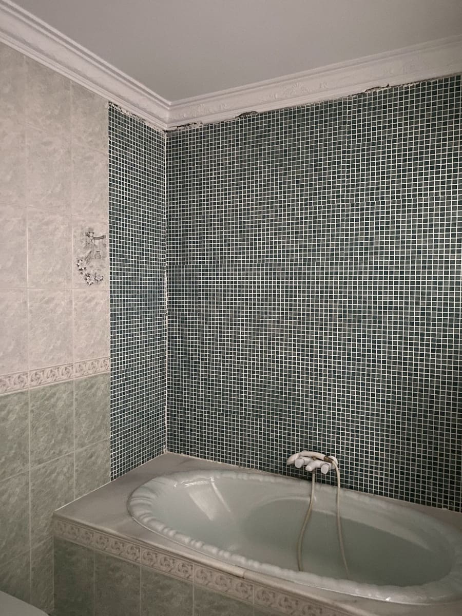 5 sypialnia Biznes na sprzedaż w Alhaurin el Grande z garażem - 425 000 € (Ref: 8620608)