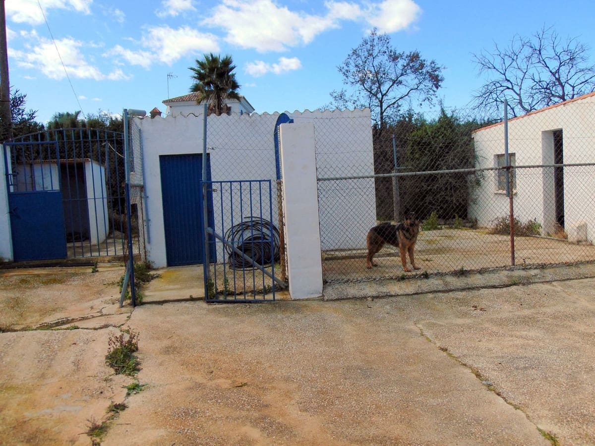 5 soveværelse Erhverv til salg i Alhaurin el Grande med swimmingpool garage - € 850.000 (Ref: 8780572)