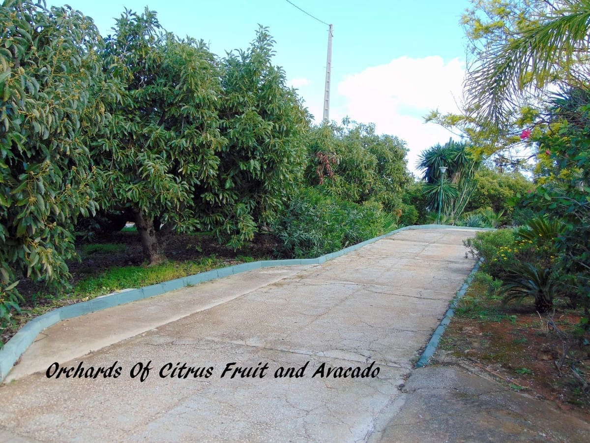 5 soverom Kommersiell til salgs i Alhaurin el Grande med svømmebasseng garasje - € 850 000 (Ref: 8780572)