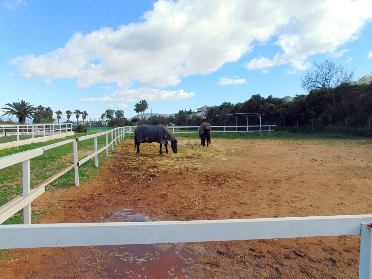Finca/Casa Rural de 5 habitaciones en Alhaurín el Grande en venta con piscina garaje - 850.000 € (Ref: 8780573)