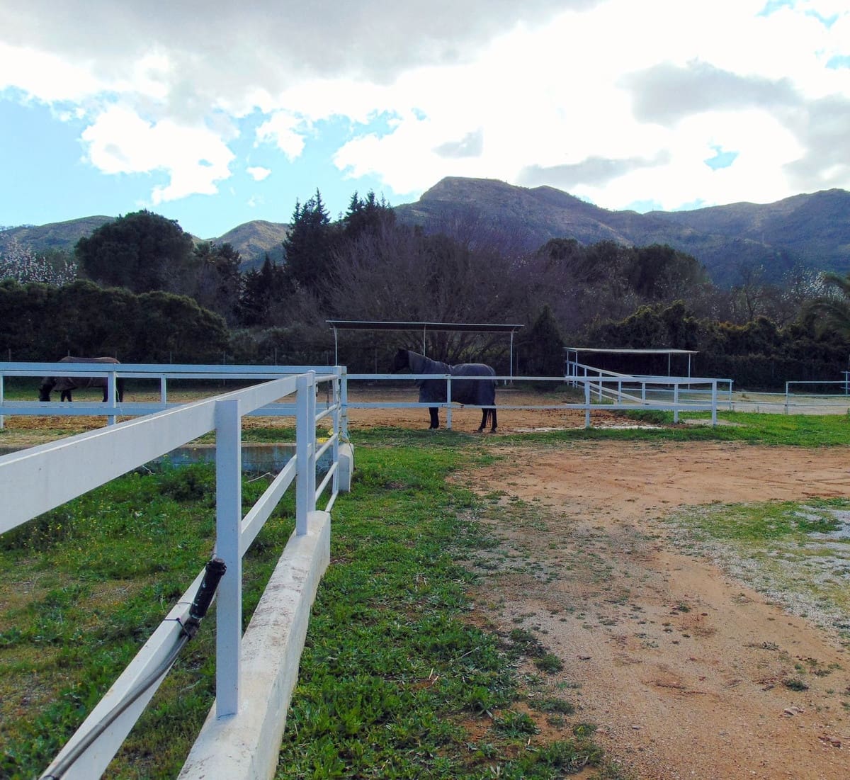 Finca/Casa Rural de 5 habitaciones en Alhaurín el Grande en venta con piscina garaje - 850.000 € (Ref: 8780573)