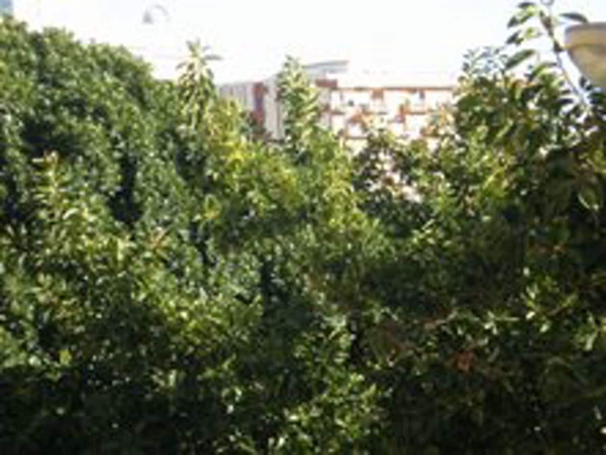 3 sypialnia Apartament na sprzedaż w Arroyo de la Miel - 225 000 € (Ref: 8814869)