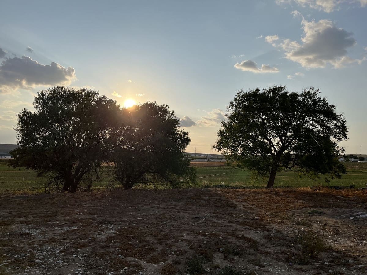 6 soverom Kommersiell til salgs i Antequera med svømmebasseng garasje - € 430 000 (Ref: 8846629)