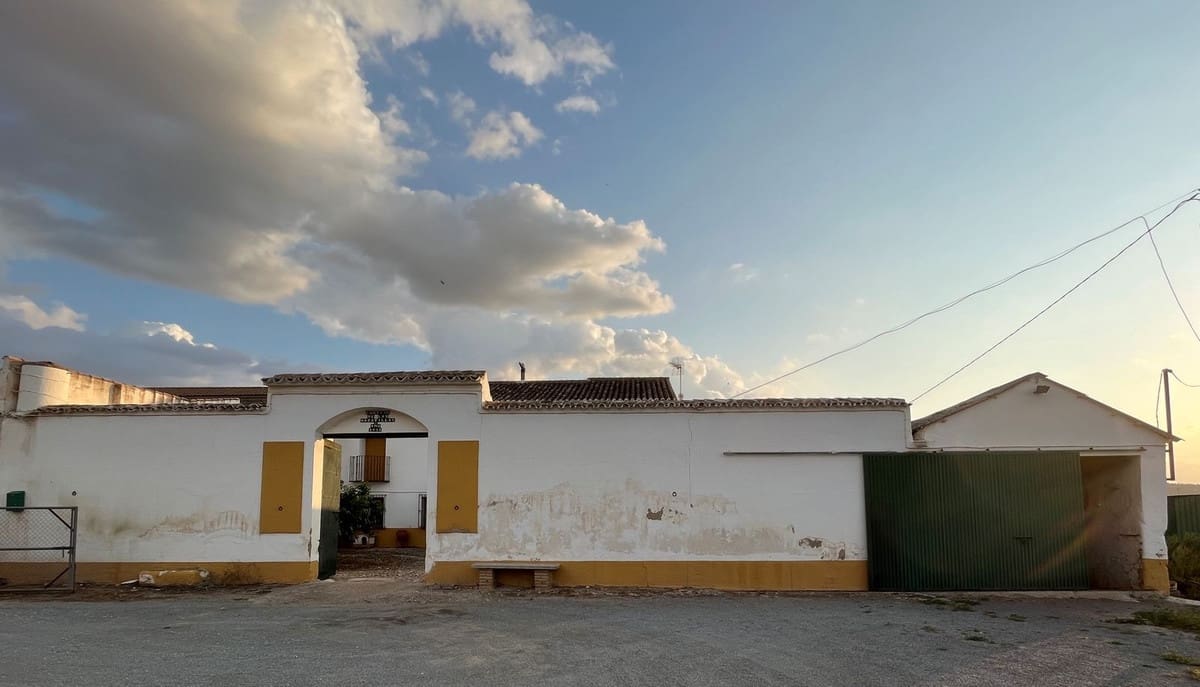 6 soverom Kommersiell til salgs i Antequera med svømmebasseng garasje - € 430 000 (Ref: 8846630)