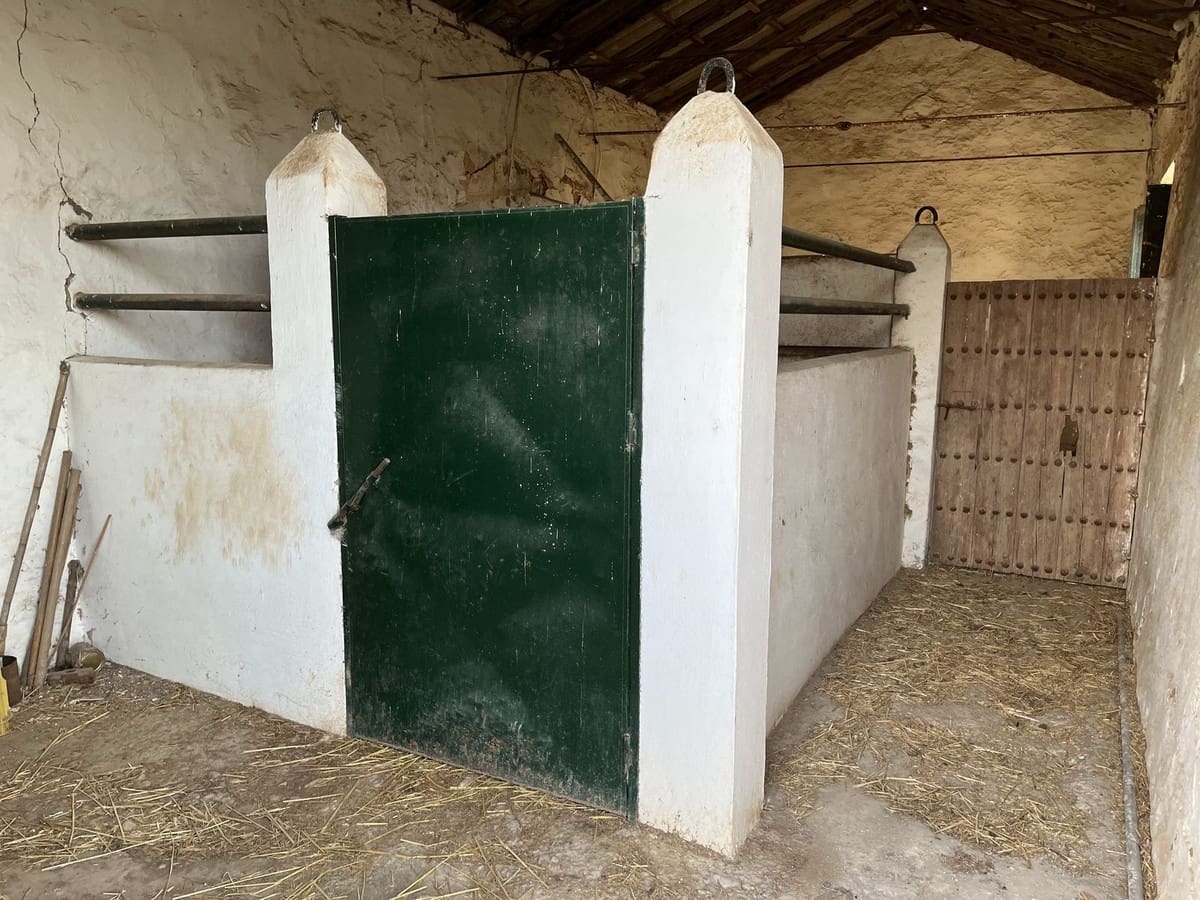 6 soverom Kommersiell til salgs i Antequera med svømmebasseng garasje - € 430 000 (Ref: 8846630)