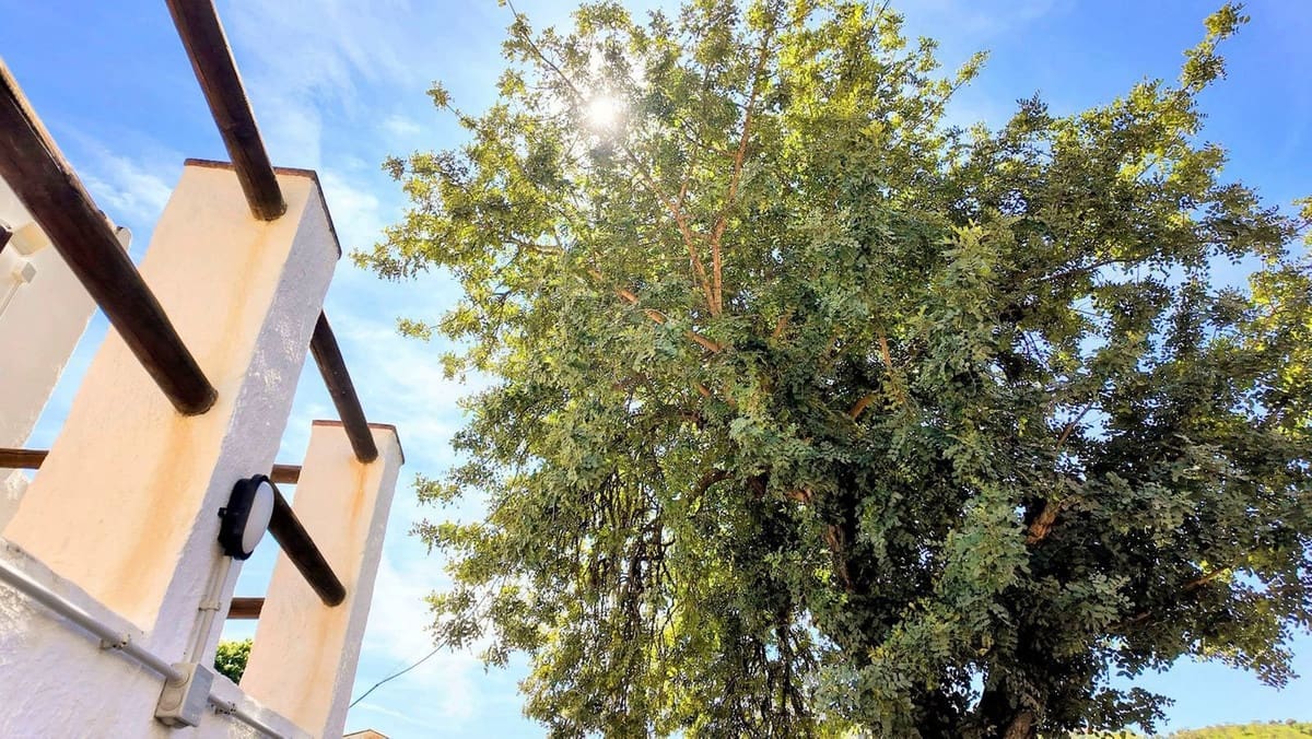 3 camera da letto Finca/Casa di Campagna in vendita in Almogia con piscina garage - 369.000 € (Rif: 8990073)