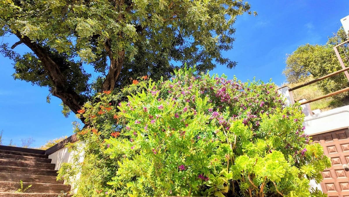 3 bedroom Finca/Country House for sale in Almogia with pool garage - € 369,000 (Ref: 8990073)