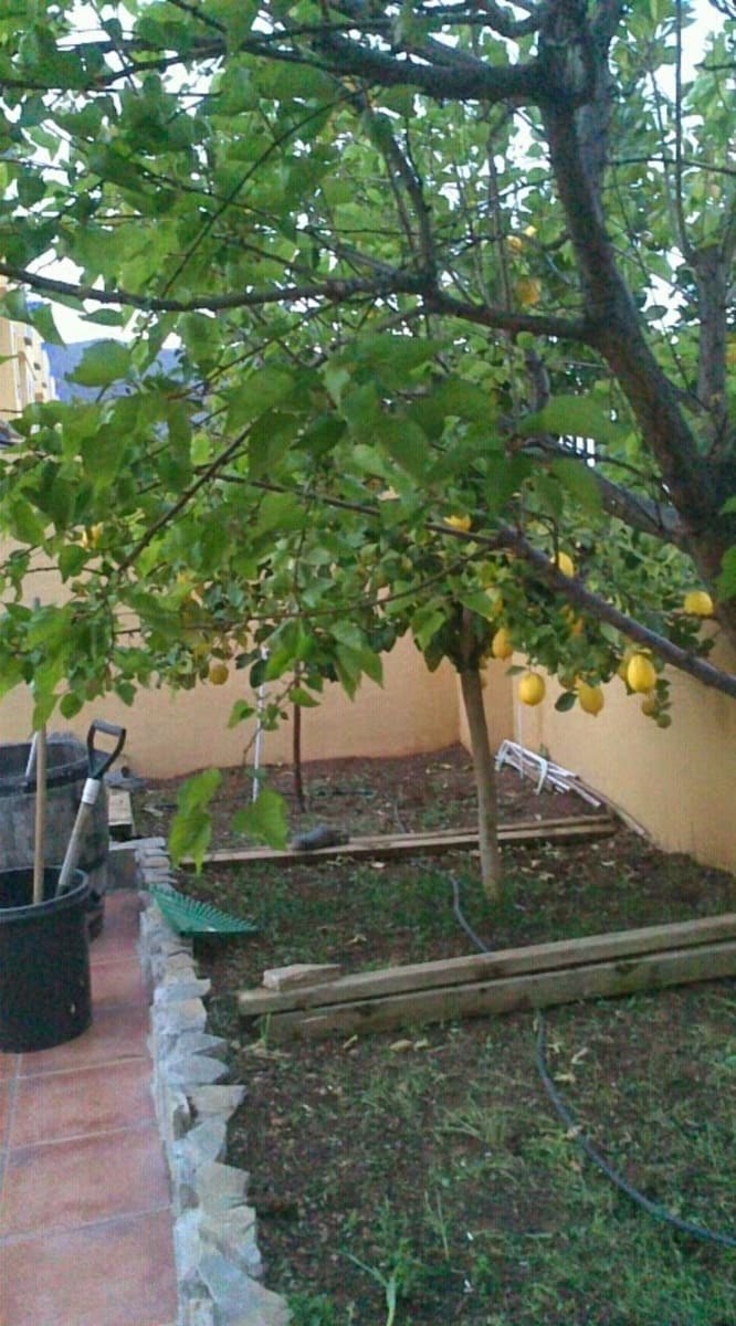 4 slaapkamer Huis te koop in Sierra de Yeguas met zwembad garage - € 225.000 (Ref: 9109352)