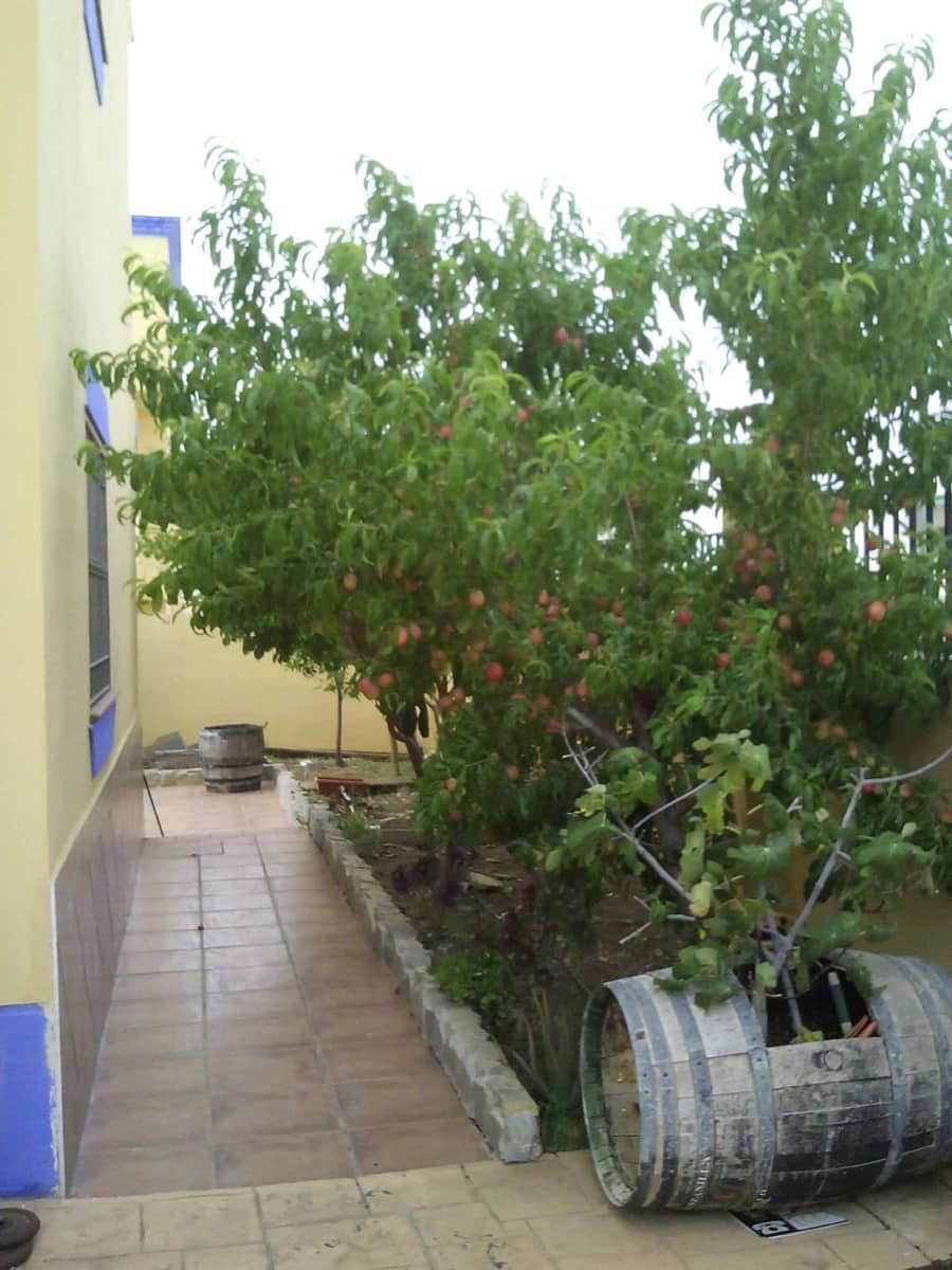 4 slaapkamer Huis te koop in Sierra de Yeguas met zwembad garage - € 225.000 (Ref: 9109352)