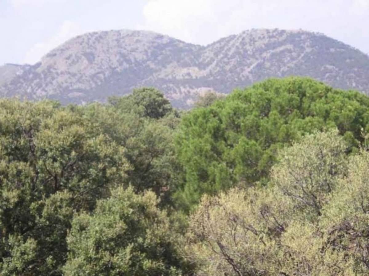 19 bedroom Finca/Country House for sale in Baza with pool garage - € 380,000 (Ref: 9113059)