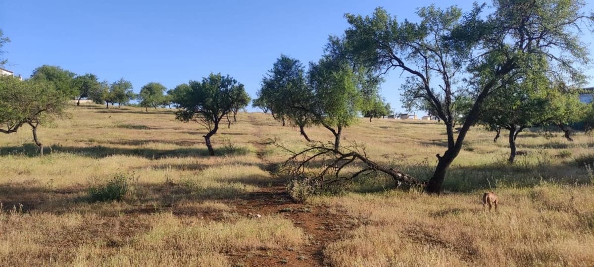 4 soverom Villa til salgs i Antequera med svømmebasseng garasje - € 255 000 (Ref: 9113060)