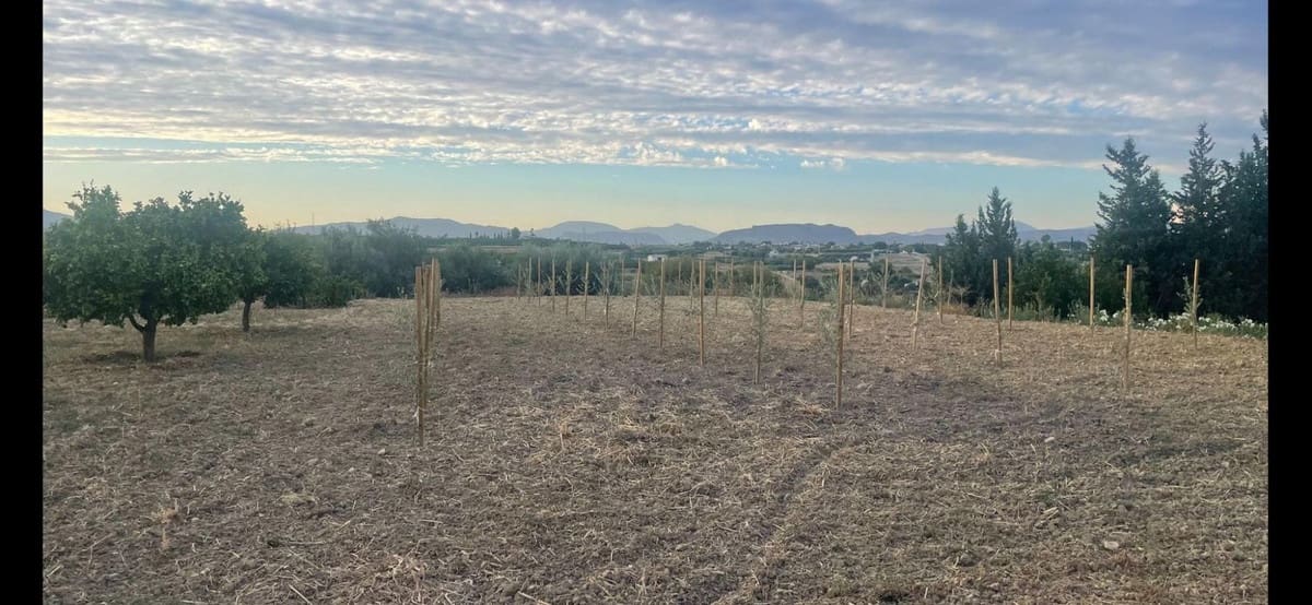 1 camera da letto Finca/Casa di Campagna in vendita in Alhaurin el Grande con piscina garage - 390.000 € (Rif: 9181537)