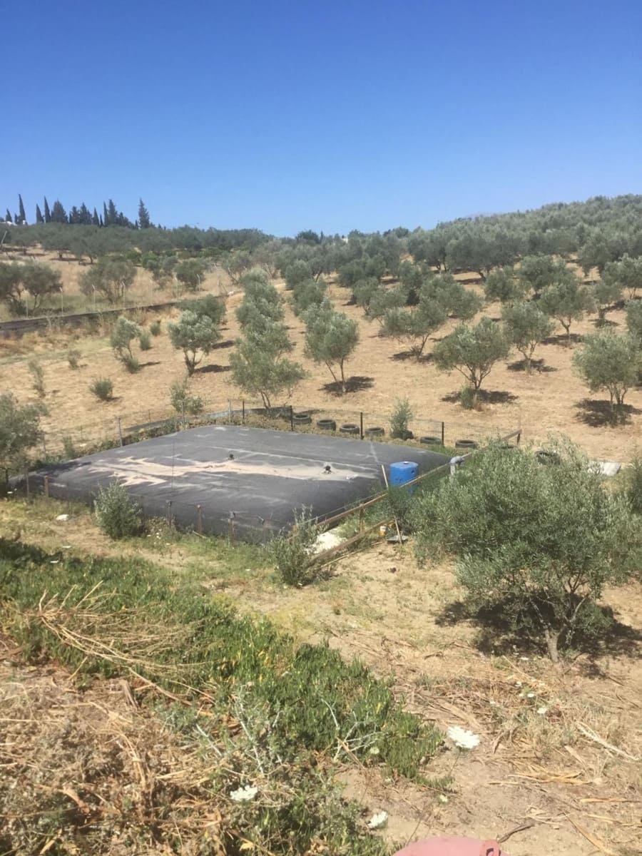 3 soverom Finca/Herregård til salgs i Alhaurin de la Torre med svømmebasseng garasje - € 495 000 (Ref: 9184311)