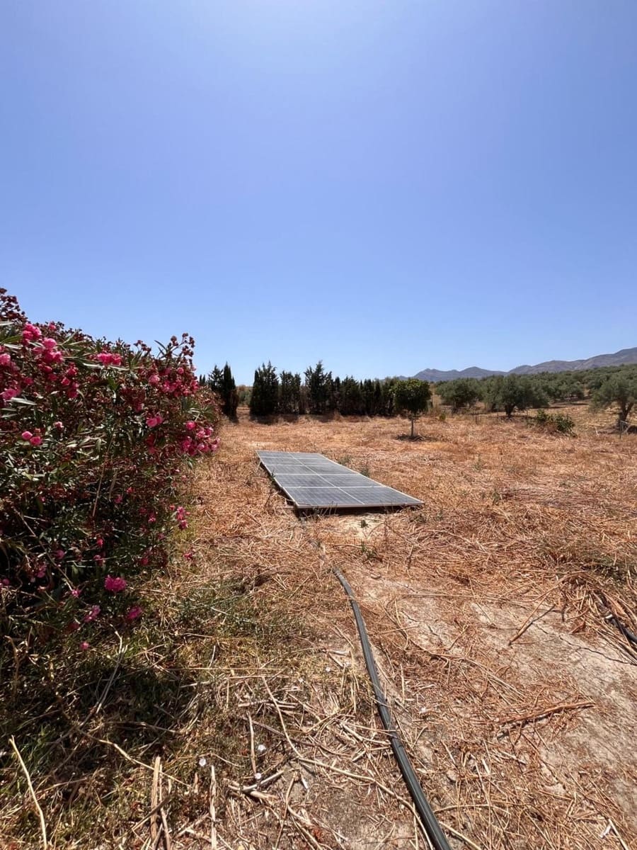 3 quarto Quinta/Casa Rural para venda em Alhaurin el Grande com piscina garagem - 495 000 € (Ref: 9184312)