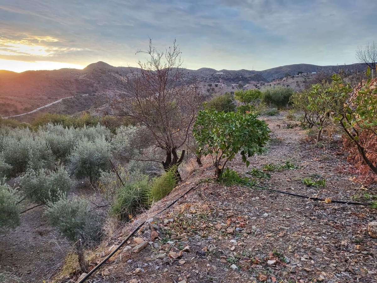 2 bedroom Finca/Country House for sale in Almogia with garage - € 160,000 (Ref: 9331735)