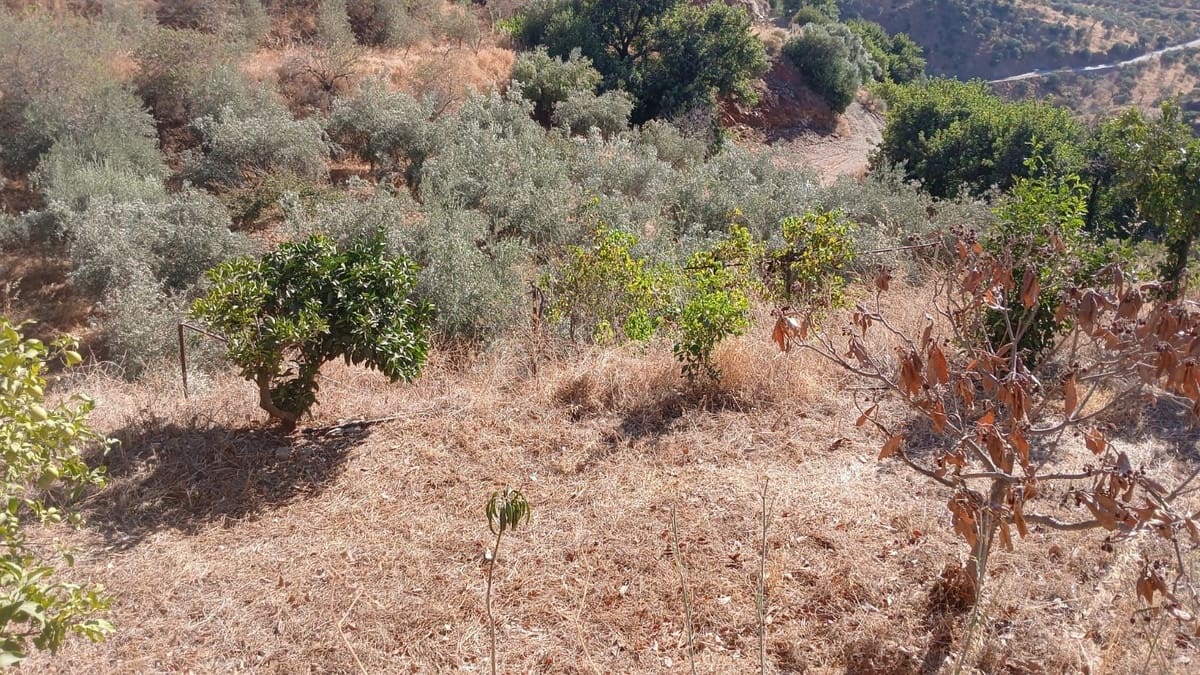 2 bedroom Finca/Country House for sale in Almogia with garage - € 160,000 (Ref: 9331735)