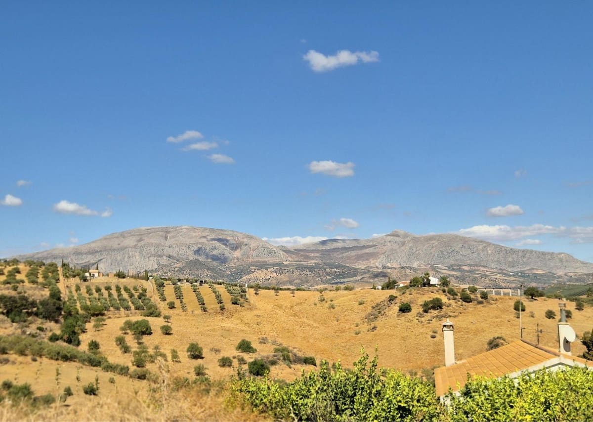 7 soverom Finca/Herregård til salgs i Alora med garasje - € 299 000 (Ref: 9378262)