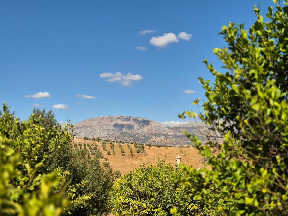 7 soverom Finca/Herregård til salgs i Alora med garasje - € 299 000 (Ref: 9378262)