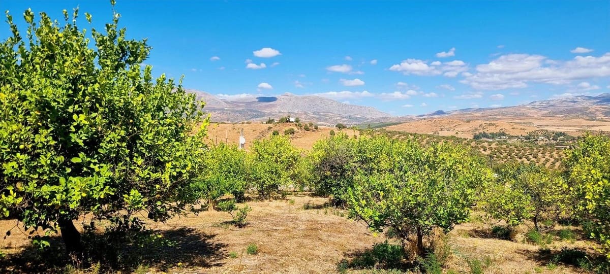 7 soverom Finca/Herregård til salgs i Alora med garasje - € 299 000 (Ref: 9378262)