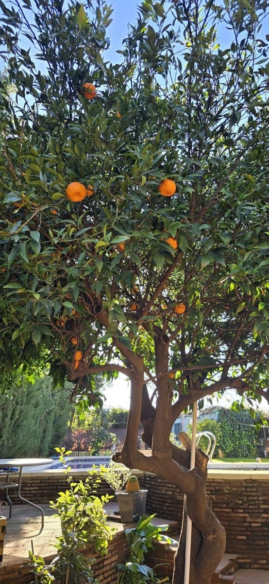 5 Zimmer Hotel zu verkaufen in Alhaurin el Grande mit Pool Garage - 485.000 € (Ref: 9596849)