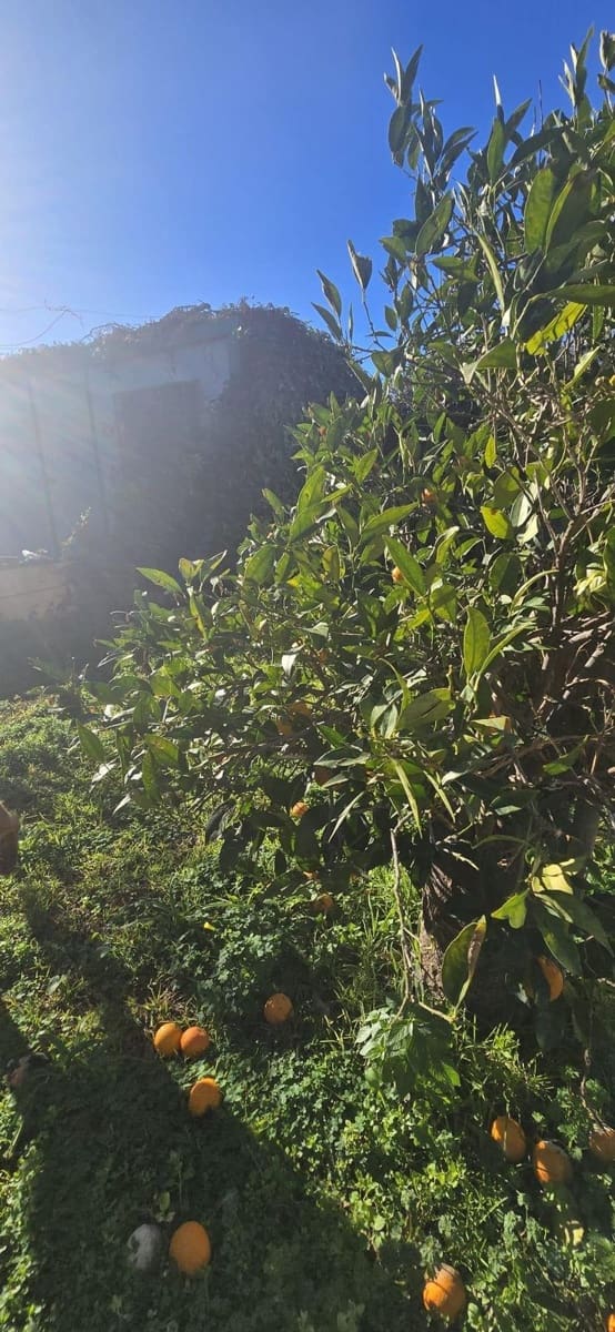 5 bedroom Villa for sale in Alhaurin el Grande with pool garage - € 550,000 (Ref: 9596850)