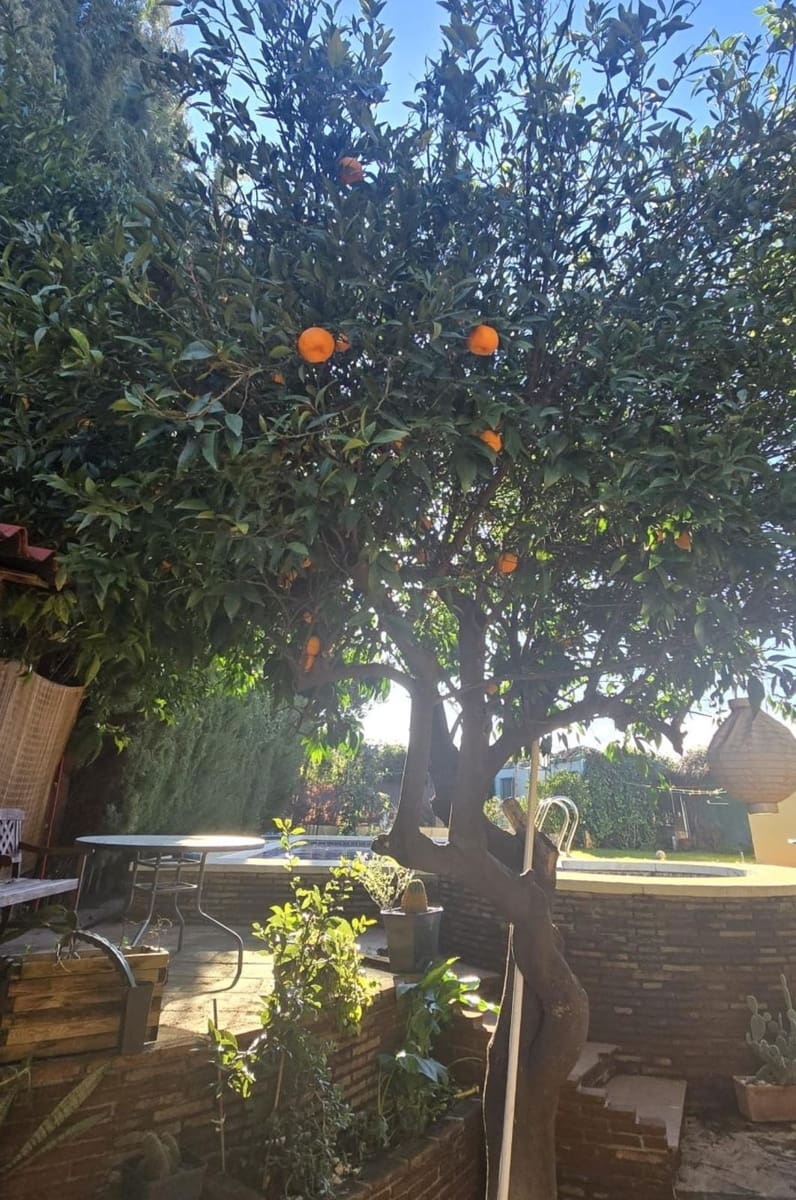 5 bedroom Finca/Country House for sale in Alhaurin el Grande with pool garage - € 485,000 (Ref: 9596851)