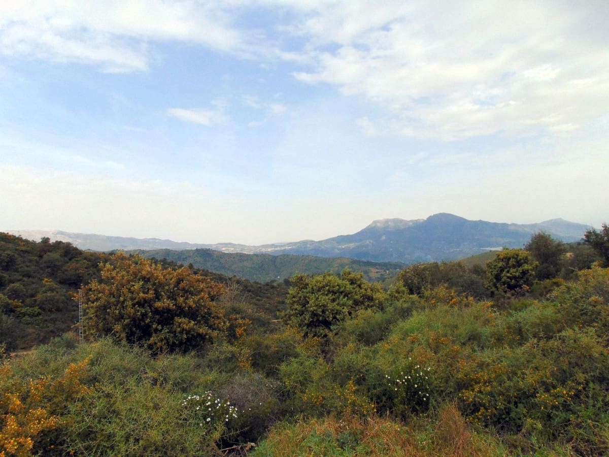 3 bedroom Finca/Country House for sale in Monda with pool garage - € 449,000 (Ref: 9750862)