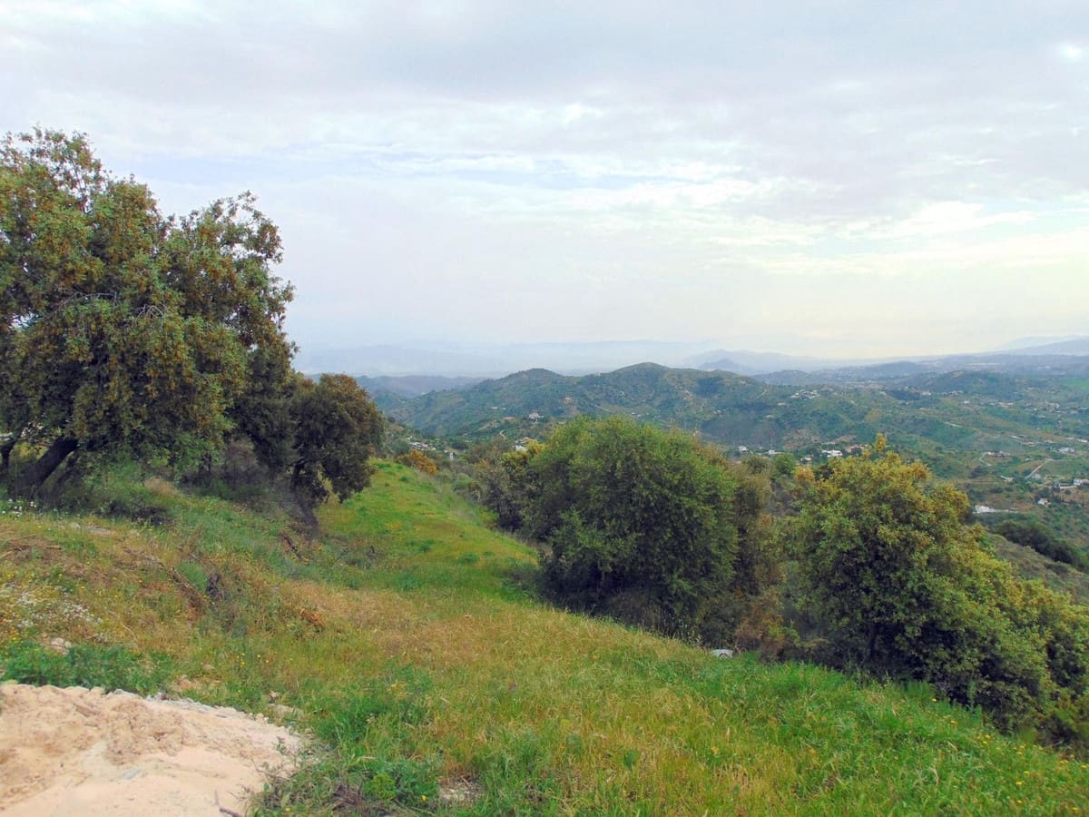 3 bedroom Finca/Country House for sale in Monda with pool garage - € 449,000 (Ref: 9750862)