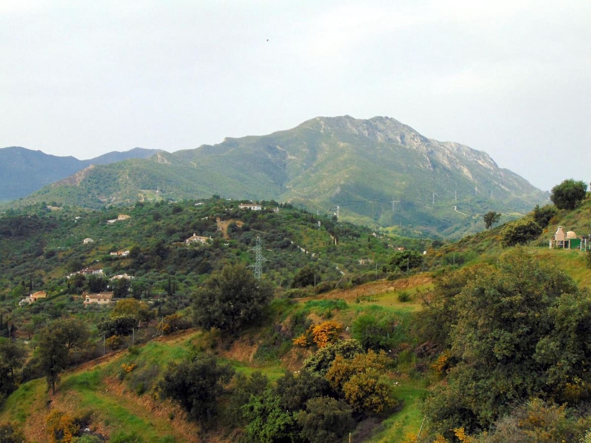 3 bedroom Finca/Country House for sale in Monda with pool garage - € 449,000 (Ref: 9750862)