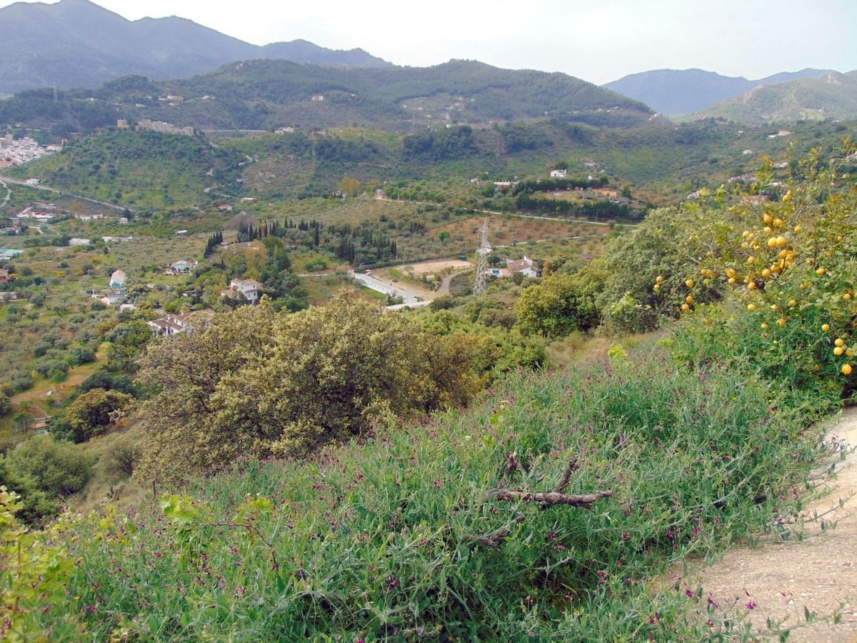 3 bedroom Finca/Country House for sale in Monda with pool garage - € 449,000 (Ref: 9750862)