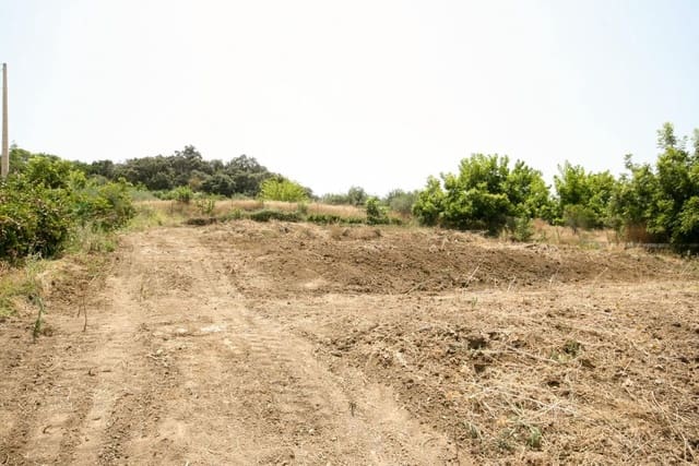 Local Commercial à vendre à Coín avec garage - 139 000 € (Ref: 9958395)